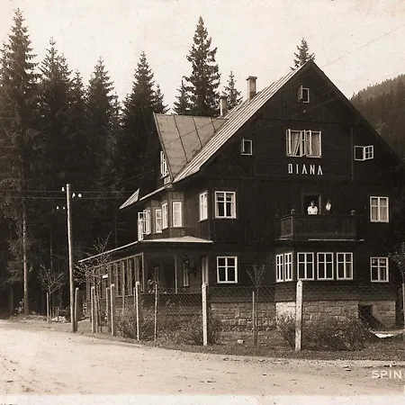 Hotel Diana Spindleruv Mlyn